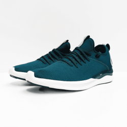puma ignite sneaker ponderosa pine fair aqua 